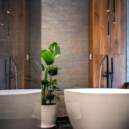 Thome Continental アパート クルージュ＝ナポカ