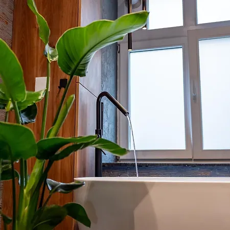 Apartment Thome Continental Cluj-Napoca