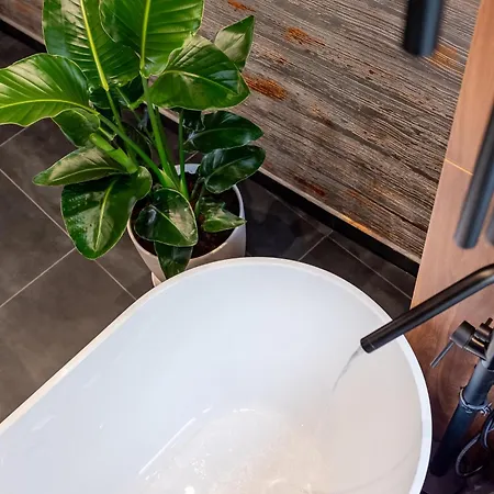 Thome Continental クルージュ＝ナポカ