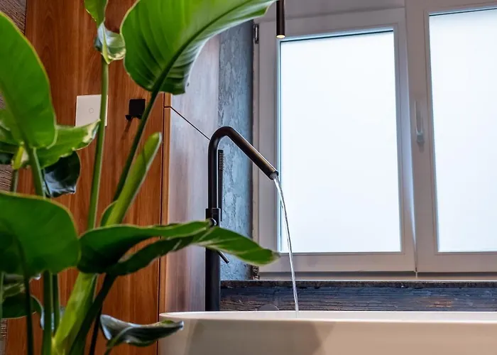 Apartment Thome Continental Cluj-Napoca