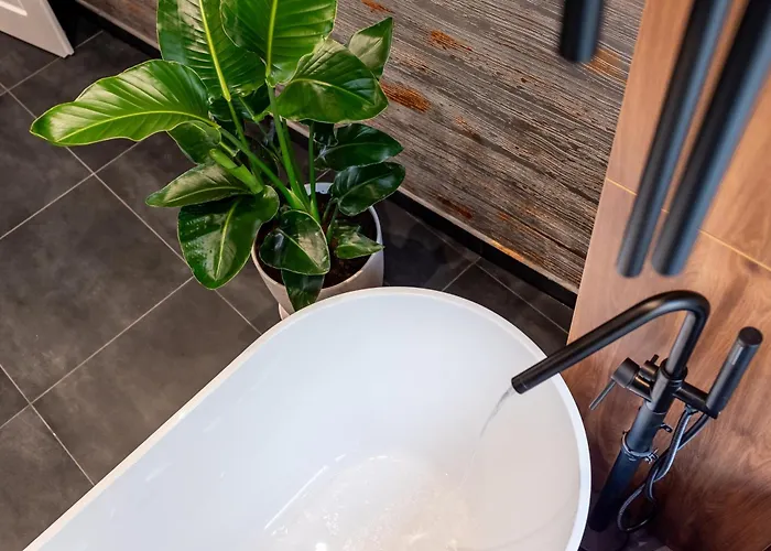 Thome Continental Cluj-Napoca